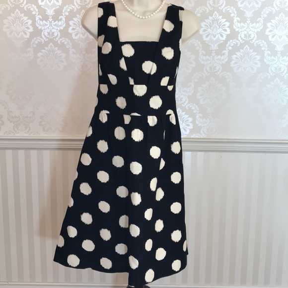 the loft polka dot dress